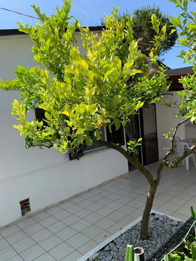 Quirino Residence Gaeta Zewnętrze zdjęcie